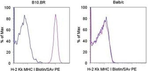 MHC Class I (H-2Kk) Monoclonal Antibody (AF3-12.1.3), Biotin, eBioscience