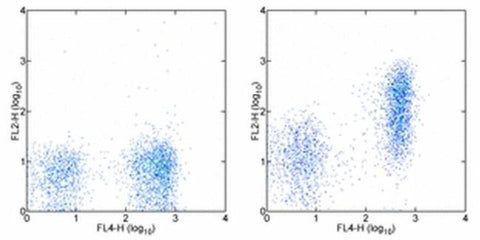 CD272 (BTLA) Monoclonal Antibody (6F7), Biotin, eBioscience