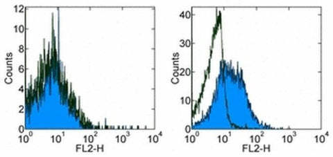 CD254 (RANK Ligand) Monoclonal Antibody (IK22/5), Biotin, eBioscience