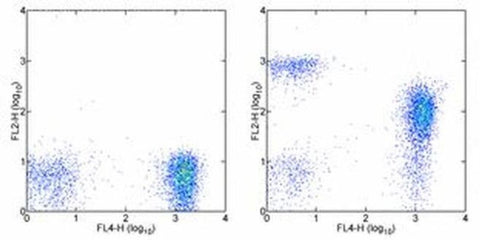 CD272 (BTLA) Monoclonal Antibody (MIH26), Biotin, eBioscience