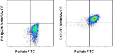 CX3CR1 Monoclonal Antibody (2A9-1), Biotin, eBioscience