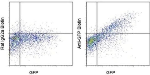 GFP Monoclonal Antibody (5F12.4), Biotin, eBioscience