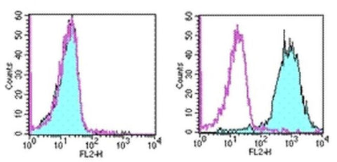 CD266 (TWEAK Receptor) Monoclonal Antibody (ITEM-4), Biotin, eBioscience