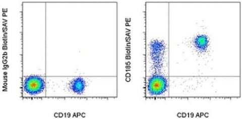 CD185 (CXCR5) Monoclonal Antibody (MU5UBEE), Biotin, eBioscience