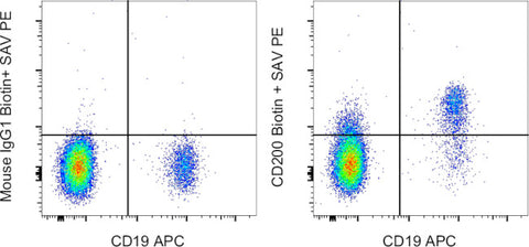 CD200 Monoclonal Antibody (OX104), Biotin, eBioscience