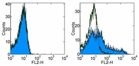 CD278 (ICOS) Monoclonal Antibody (ISA-3), Biotin, eBioscience
