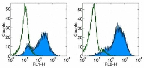 CD278 (ICOS) Monoclonal Antibody (C398.4A), Biotin, eBioscience