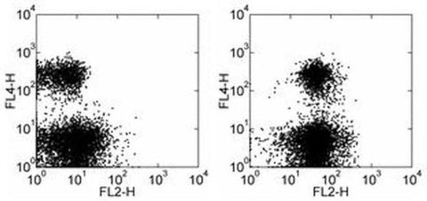 CD274 (PD-L1, B7-H1) Monoclonal Antibody (1-111A), Biotin, eBioscience
