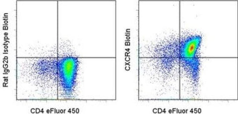 CD184 (CXCR4) Monoclonal Antibody (2B11), Biotin, eBioscience