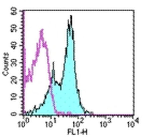 CD1d Monoclonal Antibody (1B1), eBioscience