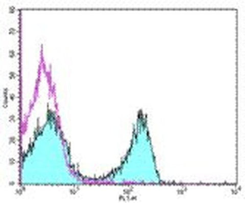 CD3e Monoclonal Antibody (145-2C11), eBioscience