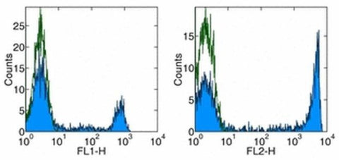 CD8a Monoclonal Antibody (HIT8a), eBioscience
