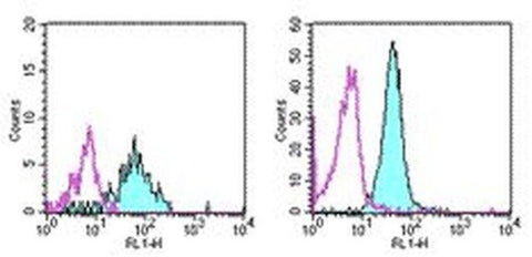 CD13 Monoclonal Antibody (WM-15 (WM15)), eBioscience