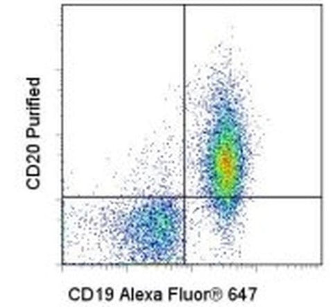 CD20 Monoclonal Antibody (AISB12), eBioscience