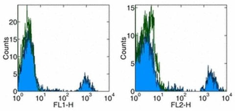 CD20 Monoclonal Antibody (2H7), eBioscience