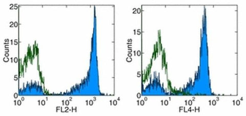 CD27 Monoclonal Antibody (O323), eBioscience
