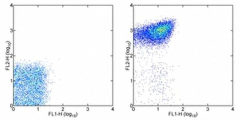 CD41a Monoclonal Antibody (eBioMWReg30 (MWReg30)), eBioscience