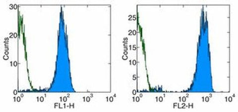 CD42b Monoclonal Antibody (HIP1), eBioscience