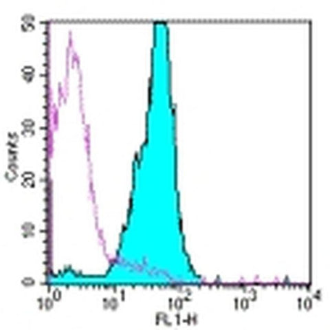 CD45.2 Monoclonal Antibody (104), eBioscience