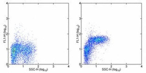 CD49e (Integrin alpha 5) Monoclonal Antibody (eBioHMa5-1 (HMa5-1)), eBioscience