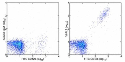 CD61 (Integrin beta 3) Monoclonal Antibody (VI-PL2), eBioscience