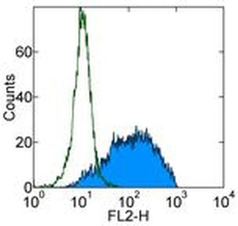 CD62E (E-selectin) Monoclonal Antibody (P2H3), eBioscience