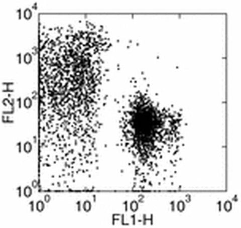 CD71 (Transferrin Receptor) Monoclonal Antibody (R17217 (RI7 217.1.4)), eBioscience