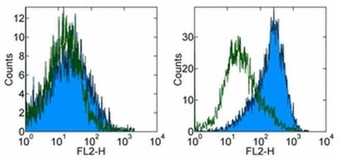 CD83 Monoclonal Antibody (Michel-17 (Michel17)), eBioscience