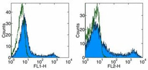 CD90.1 (Thy-1.1) Monoclonal Antibody (HIS51), eBioscience