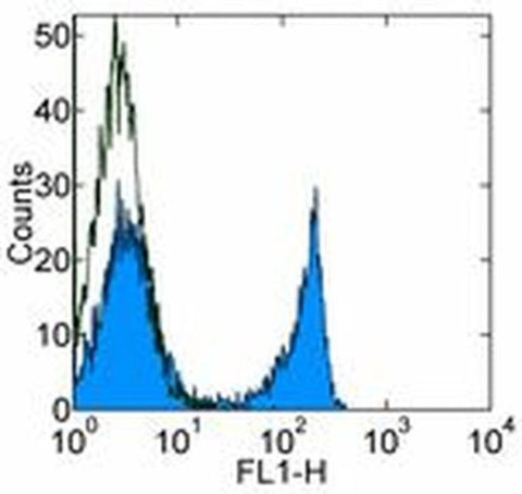 CD90 (Thy-1) Monoclonal Antibody (G7), eBioscience