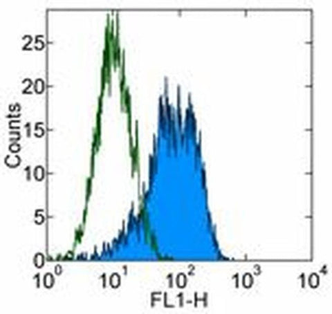 CD90 (Thy-1) Monoclonal Antibody (eBio5E10 (5E10)), eBioscience