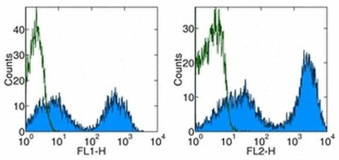 MHC Class II Monoclonal Antibody (HIS19), eBioscience