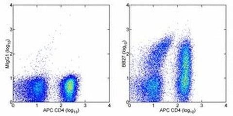 CD101 Monoclonal Antibody (BB27), eBioscience