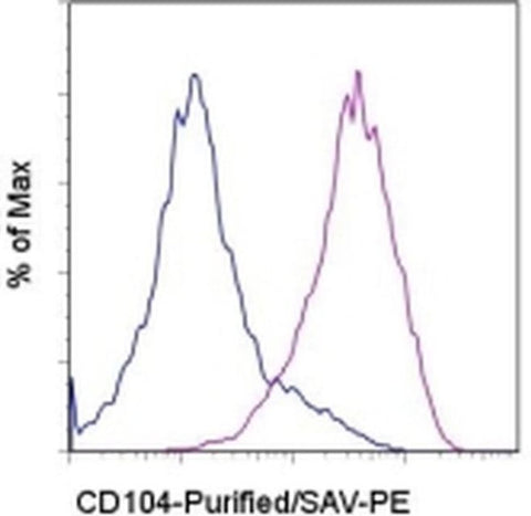 CD104 (Integrin beta 4) Monoclonal Antibody (439-9B), eBioscience