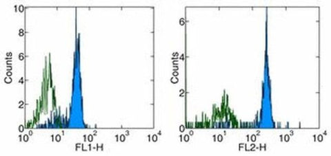 CD116 Monoclonal Antibody (4H1), eBioscience