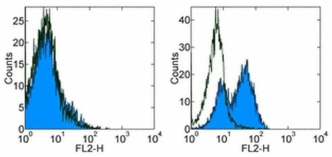 CD134 (OX40) Monoclonal Antibody (OX-86), eBioscience