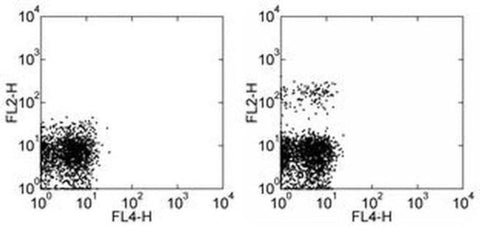 CD193 (CCR3) Monoclonal Antibody (eBio5E8-G9-B4 (5E8-G9-B4)), eBioscience