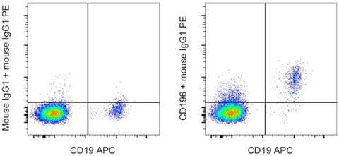 CD196 (CCR6) Monoclonal Antibody (R6H1), eBioscience