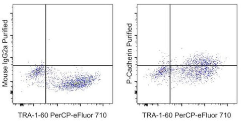 P-Cadherin Monoclonal Antibody (CSTEM29), eBioscience