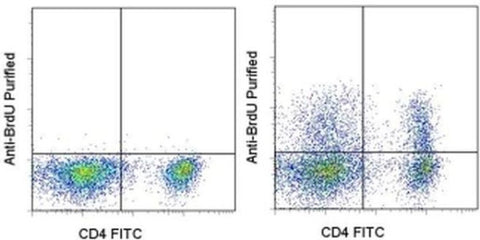 BrdU Monoclonal Antibody (BU20A), eBioscience