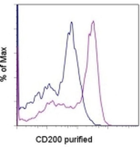 CD200 Monoclonal Antibody (OX90), eBioscience