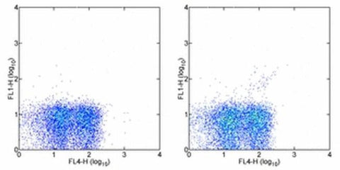 TCR gamma/delta Monoclonal Antibody (eBioGL3 (GL-3, GL3)), eBioscience