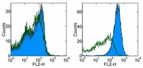OVA257-264 (SIINFEKL) peptide bound to H-2Kb Monoclonal Antibody (eBio25-D1.16 (25-D1.16)), eBioscience