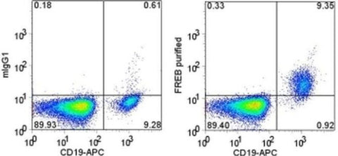 FCRLA (FREB) Monoclonal Antibody (N28.1), eBioscience