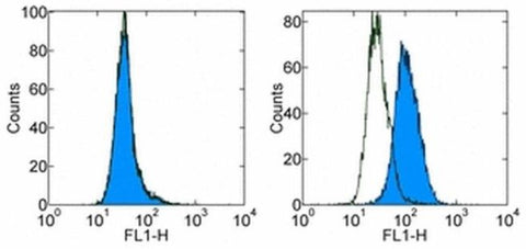 CD366 (TIM3) Monoclonal Antibody (8B.2C12), eBioscience