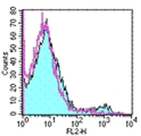 Dendritic Cell Marker DCIR2 Monoclonal Antibody (33D1), eBioscience