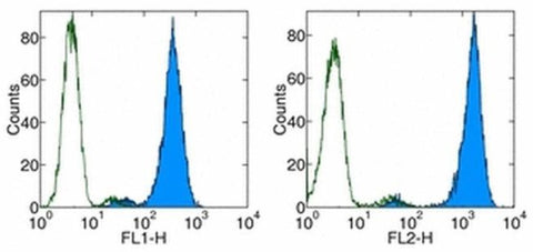 FceR1 alpha Monoclonal Antibody (MAR-1), eBioscience