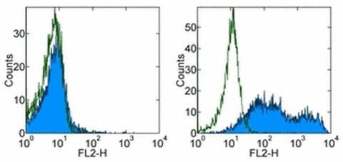 GL7 Monoclonal Antibody (GL-7 (GL7)), eBioscience