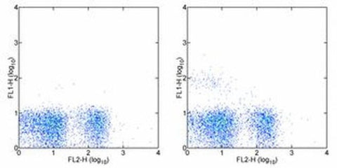 NK1.1 Monoclonal Antibody (PK136), eBioscience