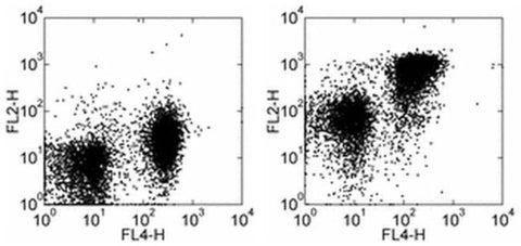 CD272 (BTLA) Monoclonal Antibody (6G3), eBioscience